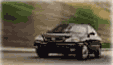 Car rentals